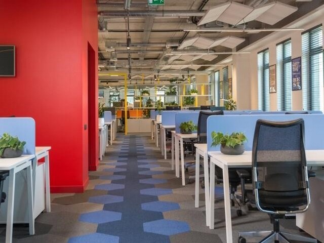 台州货物塑料托盘求购